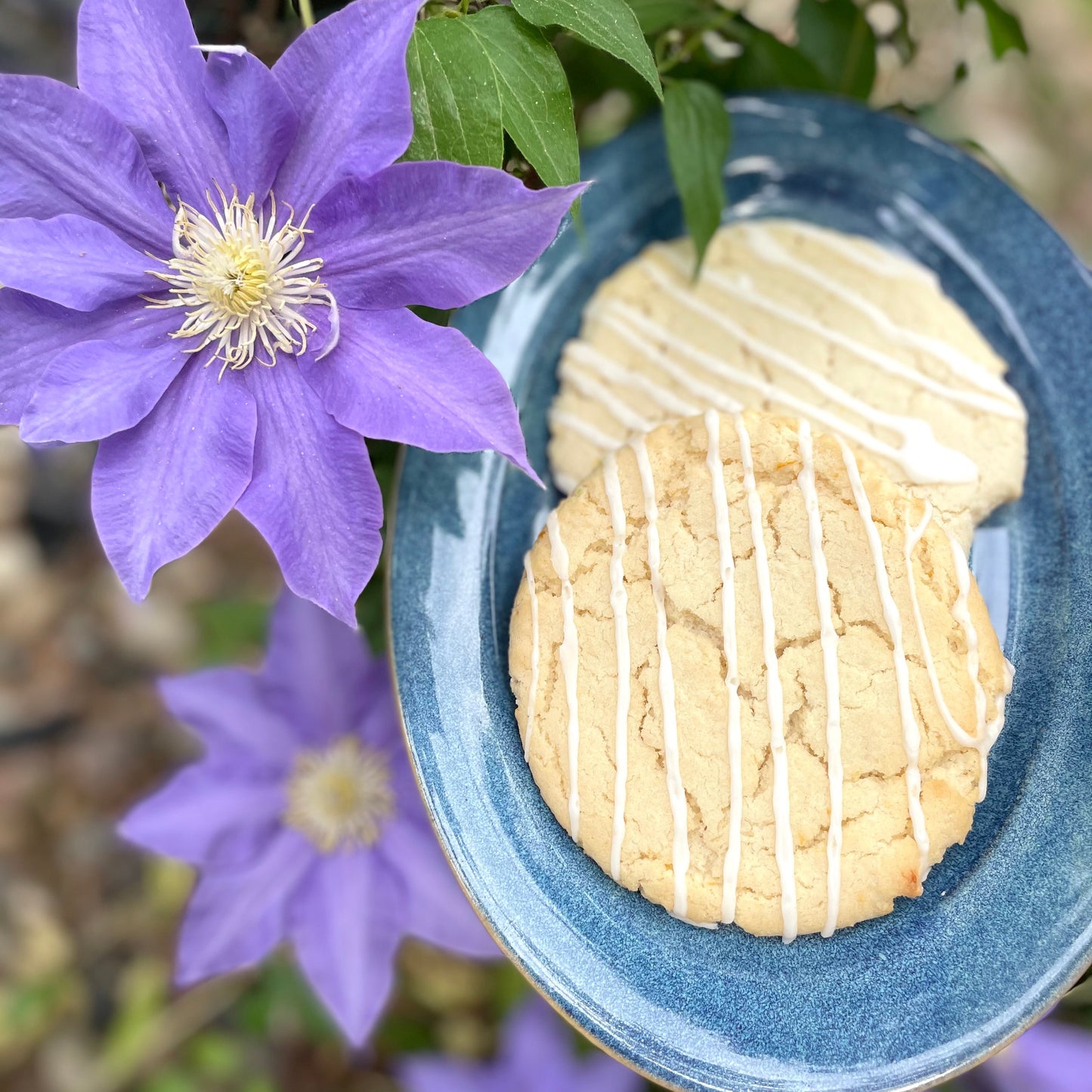 Lemon Cookie Single, Case (24)